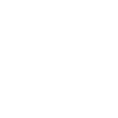 Cub Scouts