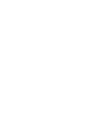 Scouting America